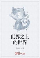世界之上的世界是什么
