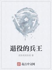 退役兵王穿越成傻皇子的