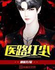 医路红尘txt