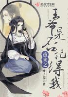 重生之王爷又有了
