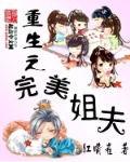 重生之完美姐夫扫书