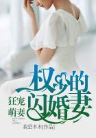 权少的闪婚新娘权子圣