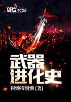 武器进化史游戏