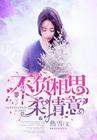 不负相思柔情意免费