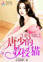 唐少宠妻无度免费阅读