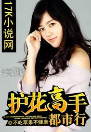护花高手在都市有多少章