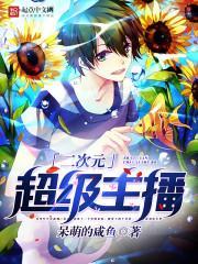 二次元主播啥意思