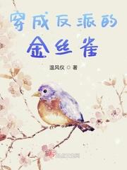 穿成反派的金丝雀 温风仪