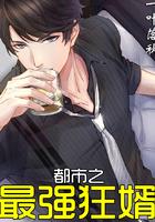 都市之最强狂婿叶锋