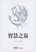 旷野之息智慧之泉
