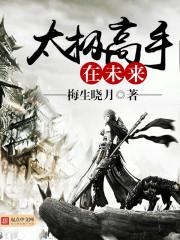 太极高手是啥意思