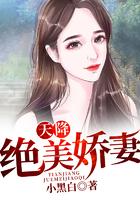 天降绝色老婆3245章