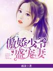 傲娇少爷追妻