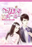 亿万老婆买一送一