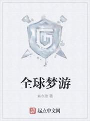 全球梦价格