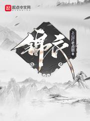 锦衣之下在线播放免费观看全集高清