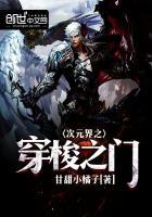 穿梭于次元之间来寻找乐趣是否搞错了什么?