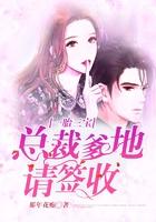 一胎三宝总裁爹地很给力免费阅读全文