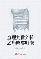 查理九世唐晓翼续写