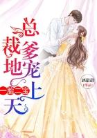 一胎二宝总裁爹地宠妻上瘾