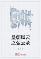 皇朝风云之弘云录 凰汉