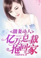 亿万甜妻总裁追妻路漫漫