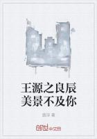 良辰美景不如你什么意思