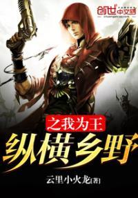 纵横乡野之我为王免费阅读