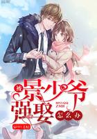 景少追妻全文免费阅读