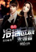 我的冷艳总裁未婚妻君倾城