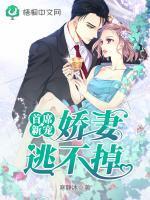 首席新宠娇妻逃不掉 寒静沐