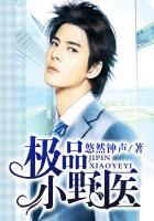 极品小野医喜马拉雅