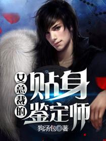 女总裁的贴身师机