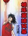 极乐篮球风暴全集