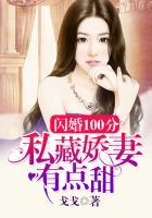 闪婚aa制;私藏暖妻有点甜