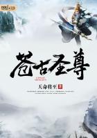 元尊苍玄圣印四圣纹