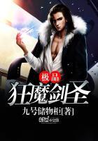 极品狂魔剑圣阅读