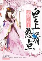 宠妃上位记皇上