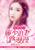 萌宝坑爹老婆求复婚免费阅读