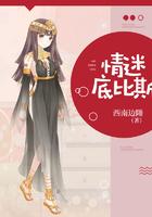 俄国电视剧情迷彼得国语版