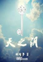 天之钥fate