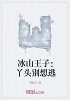 冰山王爷宠不停免费阅读