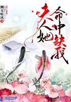 夫人他命中缺我