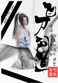 飞刀问道txt电子书