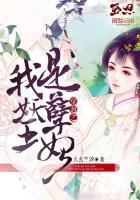 穿越之腹黑王爷倾城妃