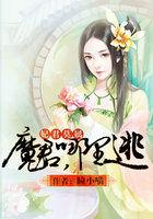 魔君宠妃太妖娆