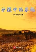 沙漠中的农场txt