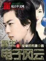 重生之电子帝国