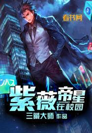 紫微帝星是什么意思