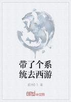 带了个系统去西游全部